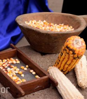 Fotografías del Martes de Tradiciones. 13 de Septiembre de 2016. Tacoronte · foto 21