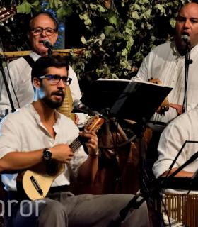 Gala de la Vendimia 2016. Fiestas del Cristo de Tacoronte · foto 41