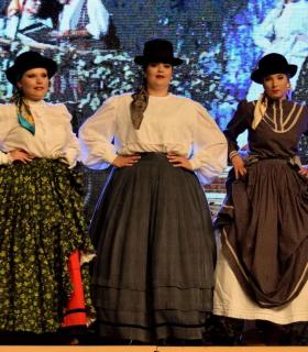 Gala de la Vendimia 2016. Fiestas del Cristo de Tacoronte · foto 5