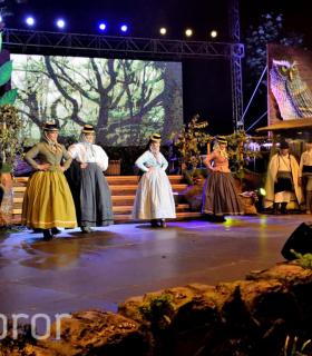 Gala de la Vendimia 2016. Fiestas del Cristo de Tacoronte · foto 35