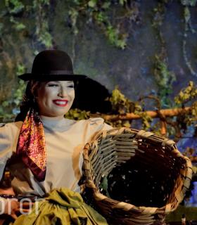 Gala de la Vendimia 2016. Fiestas del Cristo de Tacoronte · foto 44