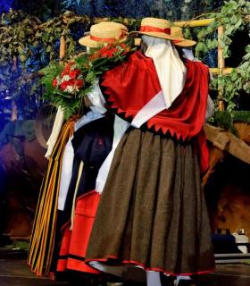 Gala de la Vendimia 2016. Fiestas del Cristo de Tacoronte · foto 77