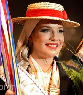Gala de la Vendimia 2016. Fiestas del Cristo de Tacoronte · foto 2