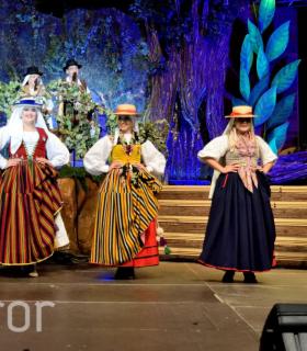 Gala de la Vendimia 2016. Fiestas del Cristo de Tacoronte · foto 71