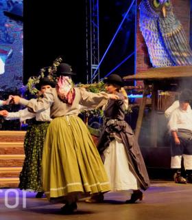 Gala de la Vendimia 2016. Fiestas del Cristo de Tacoronte · foto 51