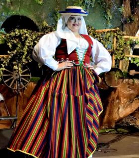 Gala de la Vendimia 2016. Fiestas del Cristo de Tacoronte · foto 59