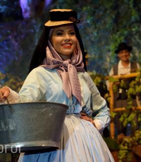 Gala de la Vendimia 2016. Fiestas del Cristo de Tacoronte · foto 14