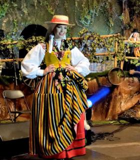 Gala de la Vendimia 2016. Fiestas del Cristo de Tacoronte · foto 61