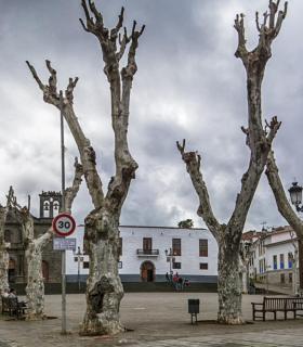 I Concurso de Fotografía de Tacoronte Digital 2016 · foto 13