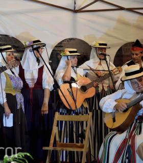 1er Baile de Taifa. A.F. entre edades Tacoronte. 22 de Octubre de 2016 · foto 33