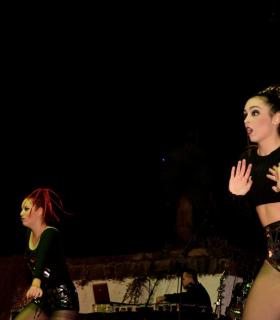 IX edición del Saldo y La Cultura en la Calle en El Sauzal · foto 57