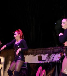 IX edición del Saldo y La Cultura en la Calle en El Sauzal · foto 58