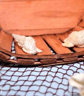 Tacoronte se muestra. 1Âª Feria de Turrones, Vinos y Gastronomía · foto 48