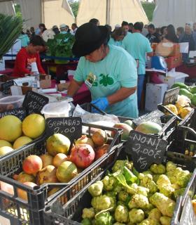 La Feria del Aguacate de Mogán dobla la producción en su segunda edición con 6.000 kilos de aguacates vendidos. · foto 1