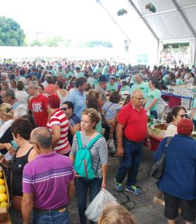 La Feria del Aguacate de Mogán dobla la producción en su segunda edición con 6.000 kilos de aguacates vendidos. · foto 5