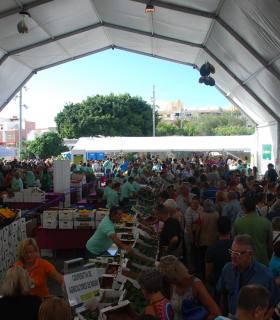La Feria del Aguacate de Mogán dobla la producción en su segunda edición con 6.000 kilos de aguacates vendidos. · foto 2
