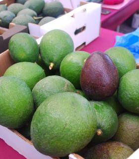 La Feria del Aguacate de Mogán dobla la producción en su segunda edición con 6.000 kilos de aguacates vendidos. · foto 3