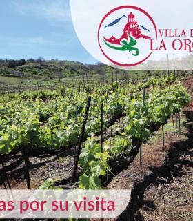 La Orotava se promociona en el propio municipio con imágenes que muestran sus encantos y espacios emblemáticos. · foto 5