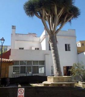 Parques y Jardines de San Cristóbal de La Laguna retirará el drago de la Escuela de Música por motivos de seguridad. · foto 1