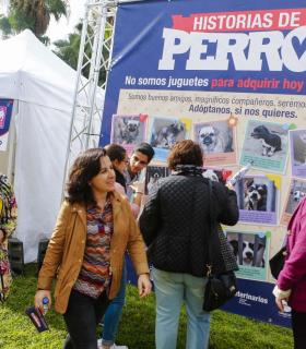 La primera carrera solidaria Perro-Amo de Las Palmas de Gran Canaria se celebra con gran éxito de participación. · foto 4