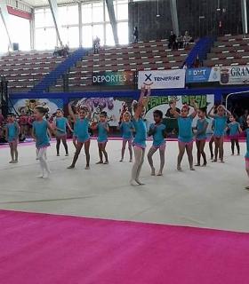 Festival y recogida solidaria de la escuela municipal de gimnasia rítmica y el Club Adoney con los más desfavorecidos. · foto 1