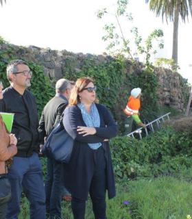 Haría apuesta por la conservación de su Palmeral. · foto 3