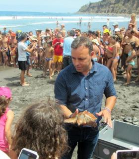 Los Realejos Actúa Verde devuelve al mar a tres tortugas tras el tratamiento de sus lesiones. · foto 2