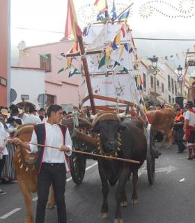 Arafo se vistió de tradición. · foto 13