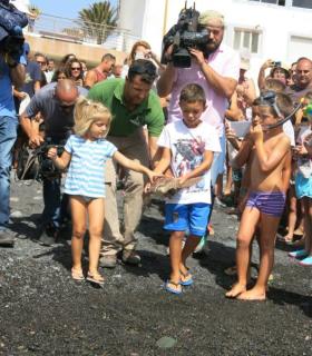 Una tortuga boba vuelve al mar de la mano de las IV Jornadas del Litoral y Medioambiente de Pozo. · foto 1