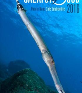 El Festival del Mar de La Palma divulgará el conocimiento de los fondos marinos y la práctica de deportes subacuáticos en la Isla. · foto 1