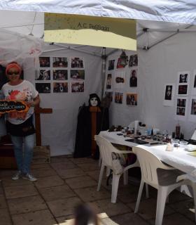 “Juntos Avanzamos” convierte la Plaza de Santiago en una fiesta de la unión vecinal y del trabajo colectivo. · foto 17