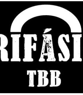 TRIFÁSICO TBB, grupo tinerfeño que fusiona el timple con rítmos de todos los tiempos. · foto 4