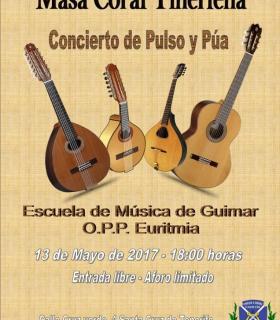Concierto de Pulso y Púa de la Escuela Municipal de Música de Güímar. · foto 1