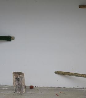 Agentes de Medio Ambiente del Cabildo de La Palma decomisan en una vivienda un ejemplar de halcón tagarote . · foto 4