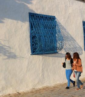 Sidi Bou Said, una paleta de dos colores. · foto 1