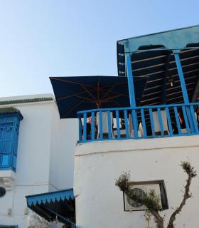 Sidi Bou Said, una paleta de dos colores. · foto 2