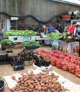 Un total de 60 familias recibieron los lotes de productos agrícolas. · foto 2