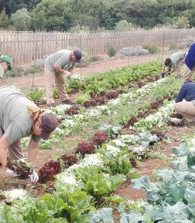 Un total de 60 familias recibieron los lotes de productos agrícolas. · foto 1