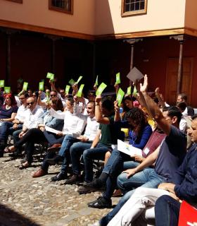 David Toledo Niz: “Entender Canarias significa defender la triple paridad”. · foto 3