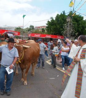 Un millar de romeros se cita en El Chorrillo para honrar a San Isidro y a Santa María de la Cabeza. · foto 5