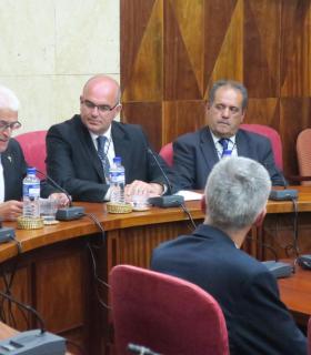 El sacerdote Antonio Hernández Hernández, Hijo Predilecto de la Isla de La Palma. · foto 2