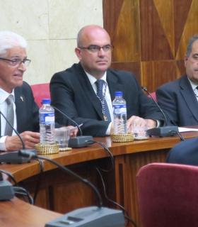 El sacerdote Antonio Hernández Hernández, Hijo Predilecto de la Isla de La Palma. · foto 3