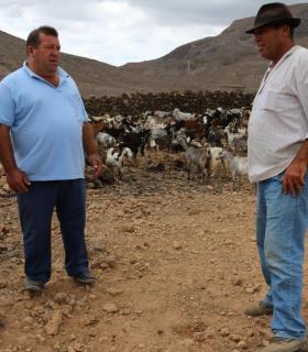 Antigua recupera tras veinte años de abandono la gambuesa de Esquincito. · foto 6