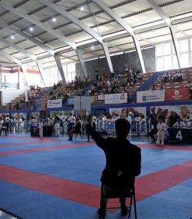 El pabellón municipal congregó a casi 300 deportistas en el Primer Campeonato de Kárate. · foto 1