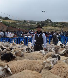 Caideros exalta la identidad canaria en la celebración de la Fiesta de La Lana. · foto 4