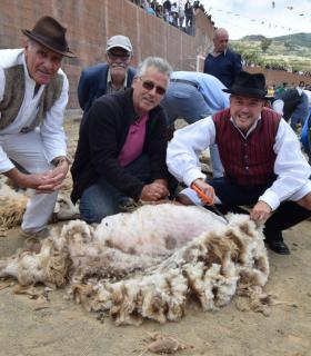 Caideros exalta la identidad canaria en la celebración de la Fiesta de La Lana. · foto 2