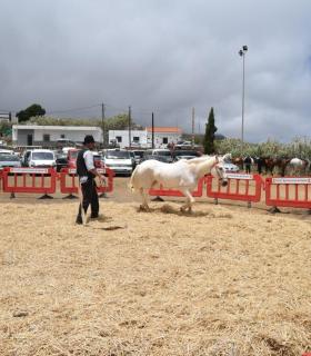 Caideros exalta la identidad canaria en la celebración de la Fiesta de La Lana. · foto 7