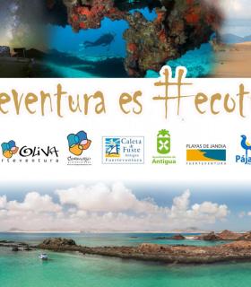Pájara, Antigua y La Oliva aúnan esfuerzos para realizar promoción turística exterior . · foto 2