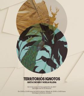 La exposición Territorios ignotos, de Greta Chicheri y Noelia Villena, se inaugura mañana en el CIC El Almacén. · foto 4