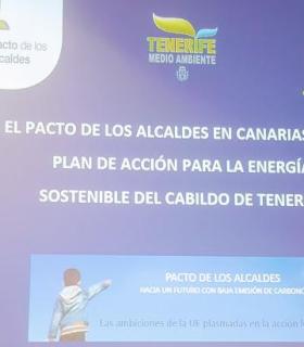 El auditorio Adán Martín acogió las jornadas de la Semana europea de la energía sostenible. · foto 5